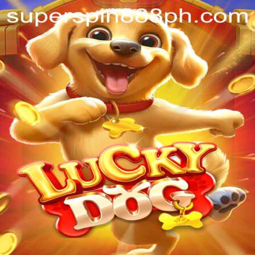Exploring LuckyDog and Superspin 888